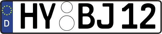 HY-BJ12