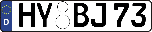 HY-BJ73