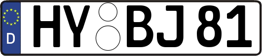 HY-BJ81