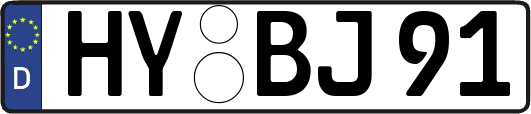 HY-BJ91
