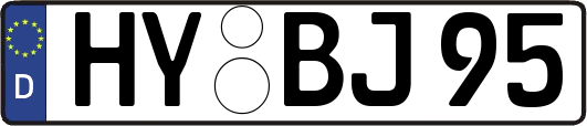 HY-BJ95
