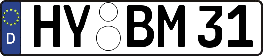 HY-BM31