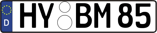 HY-BM85
