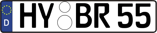 HY-BR55