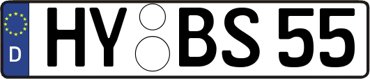 HY-BS55