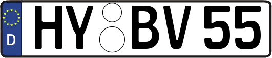 HY-BV55