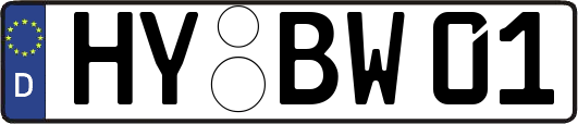 HY-BW01