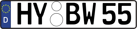 HY-BW55