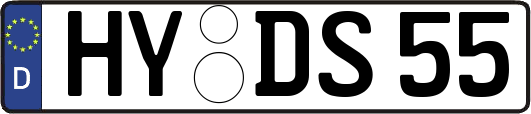 HY-DS55