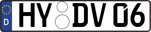 HY-DV06