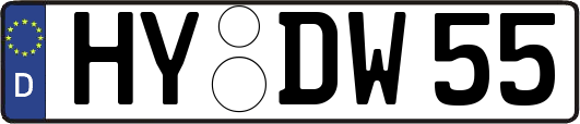 HY-DW55