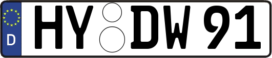 HY-DW91