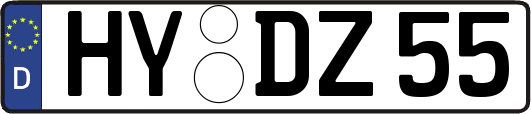 HY-DZ55