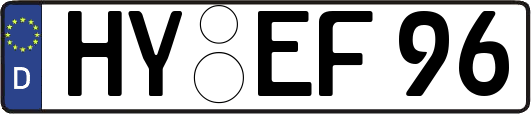 HY-EF96