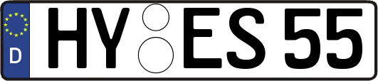 HY-ES55