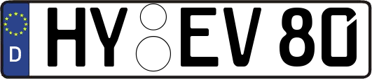 HY-EV80