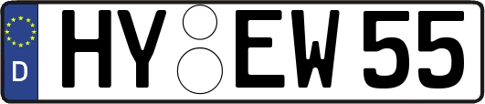 HY-EW55