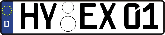 HY-EX01