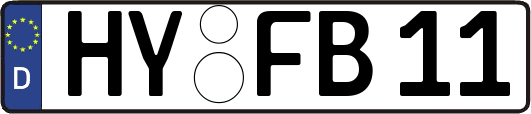 HY-FB11