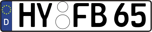 HY-FB65