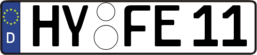 HY-FE11