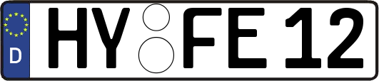 HY-FE12