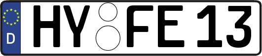 HY-FE13