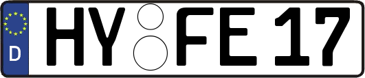 HY-FE17