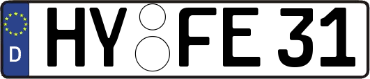 HY-FE31