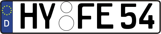 HY-FE54