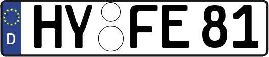 HY-FE81