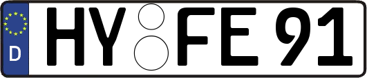 HY-FE91