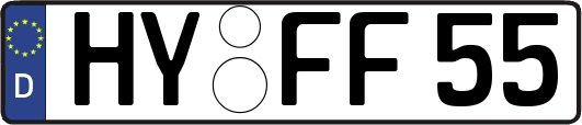 HY-FF55