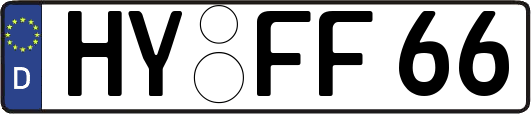 HY-FF66