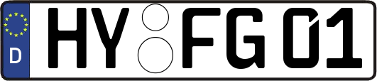 HY-FG01