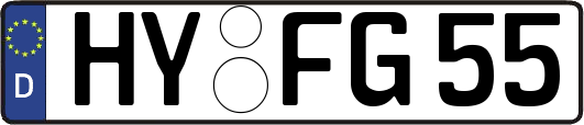 HY-FG55