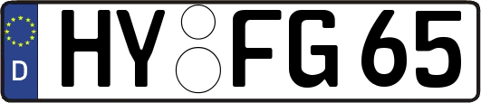 HY-FG65