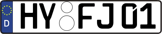 HY-FJ01