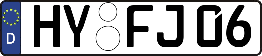 HY-FJ06