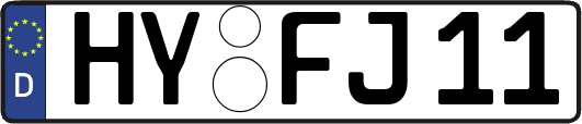 HY-FJ11