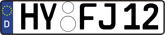 HY-FJ12