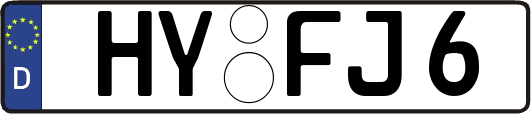 HY-FJ6