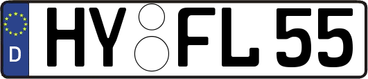 HY-FL55