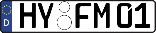 HY-FM01