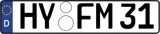 HY-FM31