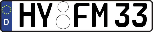 HY-FM33