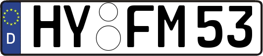 HY-FM53