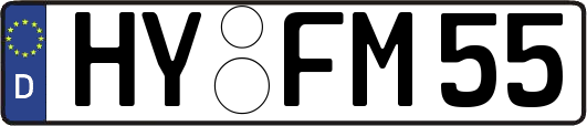 HY-FM55