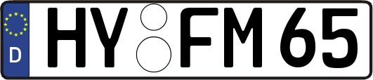 HY-FM65