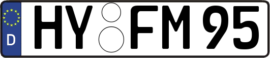 HY-FM95
